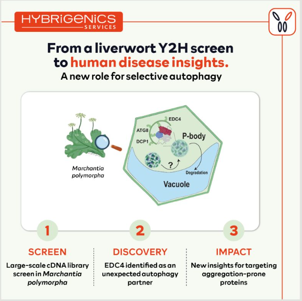 liverworm_yeast_2_hybrid_screen_parkinson